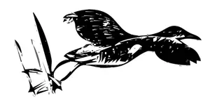 Uccello della guida re decollo immagine linea arte vettoriale